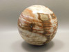 Petrified Wood Sphere Stone 3 inch Mineral Ball Madagascar #OM5