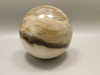 Petrified Wood 2.75 inch Stone Sphere Fossil Sequoia USA #O4