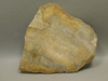Petrified Palm Wood Rough Rock Stone Slab Fossilized Indonesia #O1