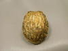 Hedgehog Figurine Kalahari Jasper Carved 2 inch Stone Animal #O3