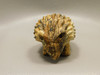 Hedgehog Figurine Kalahari Jasper Carved 2 inch Stone Animal #O4