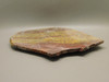 Morgan Hill Poppy Jasper Lapidary Rough Rock Stone Slab #O12