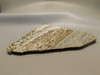 Ocean Jasper Polished Stone Slab Natural Rock #O24
