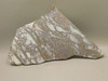 Mushroom Jasper Stone Slab Lapidary Cabbing Rough Rock #O7