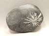 Chrysanthemum Stone 2.9 inch Palm Worry Stone Natural Rock #O17