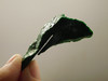 Maw Sit Sit Unpolished Stone Slab Green Jade Small Rock #O11