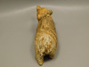 Bear Figurine Brown Stone Animal Carving Kalahari Jasper 4 inch #O48