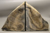 Petrified Gum Tree Wood Polished Bookends 5 inch Fossil Rock Washington 