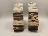 Petrified Wood Bookends Polished Rock 5 inch Fossilized Arizona Conifer #O2