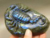 Scorpion Figurine Animal Carving Labradorite Carved Stone #O234