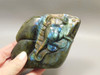 Mouse Labradorite Hand Carved 3 inch Gemstone Animal Totem #O330