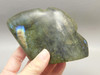 Mouse Labradorite Hand Carved 3 inch Gemstone Animal Totem #O330