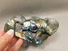 Rhinoceros Figurine Labradorite Polished Carved Stone Animal #O27