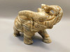 Elephant Figurine  Picture Jasper 3.72 inch Animal Carving #O289