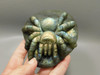 Spider Tarantula Figurine Labradorite Gemstone 4.8 inch Carving #O211