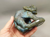 Elephant Figurine Labradorite 4 inch Carved Stone Animal #O152