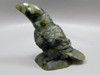 Toucan Bird Figurine Labradorite Polished Rock Healing Stone #O1