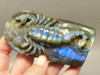 Scorpion Figurine Animal Carving Labradorite Polished Stone #O1