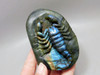 Scorpion Figurine Animal Carving Labradorite Polished Rock #O11