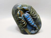 Scorpion Figurine Animal Carving Labradorite Polished Rock #O11