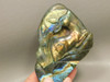 Deer Gemstone Animal Carving Labradorite Polished Rock #O881