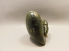 Scarab Beetle Figurine Animal Carving Labradorite Hand Carved Rock #O338