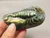 Scorpion Figurine Animal Carving Labradorite Polished Rock Fetish #O4