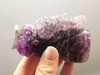 Owl Figurine Gemstone Animal Carving Purple Fluorite #O4