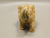 Elephant Figurine Kalahari Picture Jasper Animal Carving #O152