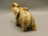 Elephant Figurine Kalahari Picture Jasper Animal Carving Totem#O153