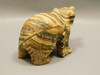 Bear Figurine Stone Animal Carving Kalahari Jasper 3.2 inch #O81