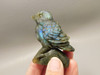 Bird Figurine Labradorite Hand Carved 2.3 inch Gemstone #O83