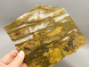 Binghamite Stone Slab Lapidary Cabbing Rough Rock #O3