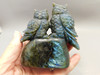 Owl Figurine Labradorite 2 Owls 3.5 inch Animal Carving #O361