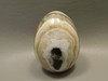 Spirit Stone Egg Yavapai Travertine 2.4 inch Carved Rock Arizona #O1