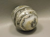 Spirit Stone Egg Yavapai Travertine 2.4 inch Carved Rock Arizona #O2