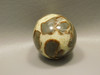 Septarian Nodule Egg Shaped 2.5 inch Polished Rock Utah Stone #O2