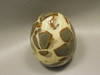 Septarian Nodule Egg Shaped 2.5 inch Polished Rock Utah Stone #O2