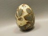 Septarian Nodule Egg Shaped 2.5 inch Polished Rock Utah Stone #O2