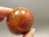 Carnelian Agate Egg Shaped Stone Carving 2 inch Orange Gemstone #O1