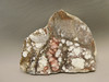 Wild Horse Polished Stone Slab Magnesite Arizona Rock #O12