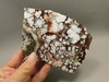 Wild Horse Polished Stone Endcut Magnesite Arizona Rock Slab #O16