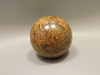 Starburst Jasper or Chrysanthemum Jasper Small Sphere 1.3 inch Mineral Ball #O3