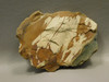 Owyhee Jasper Unpolished Stone Endcut Lapidary Rough Rock #O3