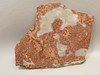 Red Sage Picture Stone Jasper Slab Rough Rock Cabbing Cutting #O4