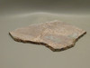 Red Sage Picture Stone Jasper Slab Rough Rock Cabbing Cutting #O4