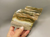 Arizona Pietersite Polished Stone Slab Chatoyant Tiger Eye #O2