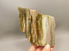 Arizona Pietersite Polished Stone Slab Chatoyant Tiger Eye #O2