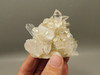 Lemurian Quartz Cluster Clear Natural Crystal Points 3.4 inch Columbia #O8