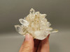 Lemurian Quartz Cluster Clear Natural Crystal Points 3.4 inch Columbia #O8